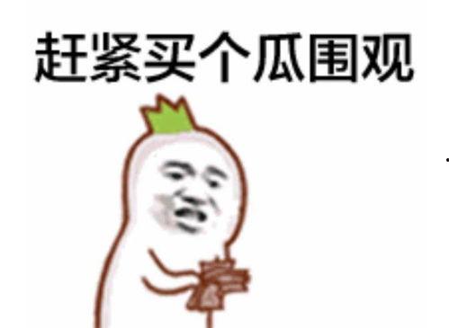 吃瓜群众表情包的人气,揭秘吃瓜群众表情包的火爆之谜